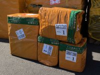 mmexport1725859946980.jpg